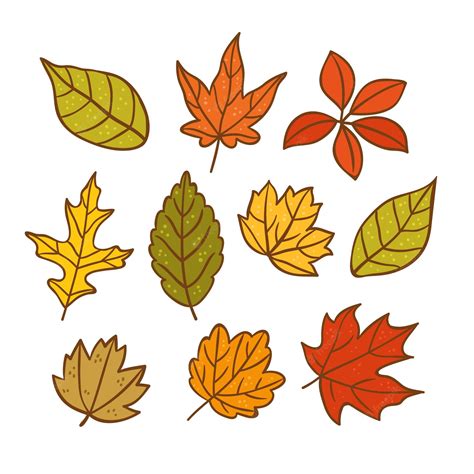 cartoon fall leaves